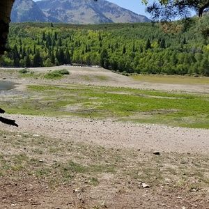 Meet your Posher, Julio